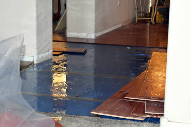Professional Burst Pipe Cleanup technician working in Elmendorf, TX